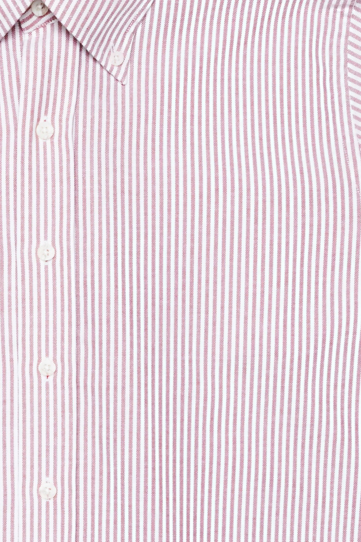 Dexter Burgundy Stripe - Image 4