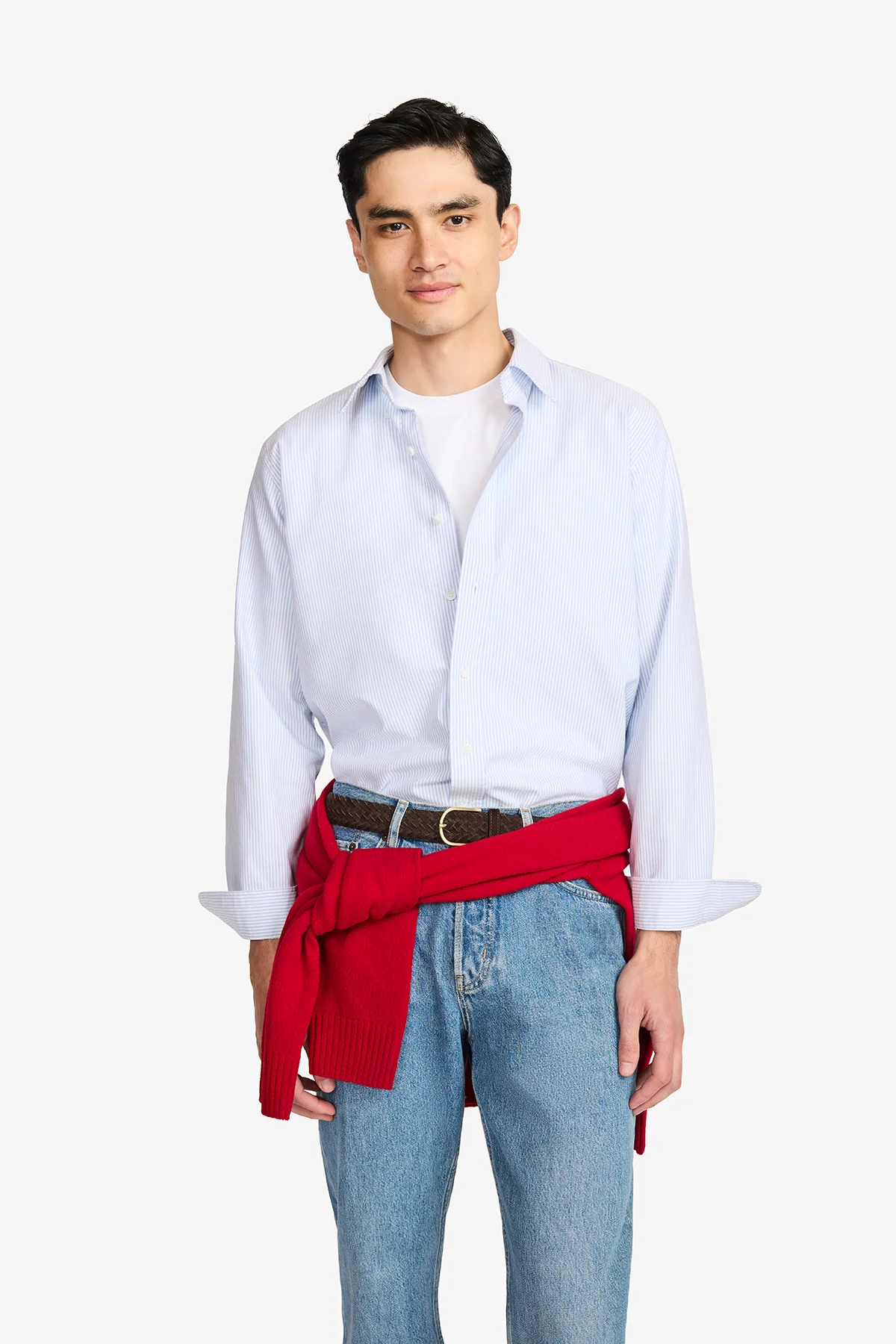 Kane Blue Stripe Oxford - Image 6