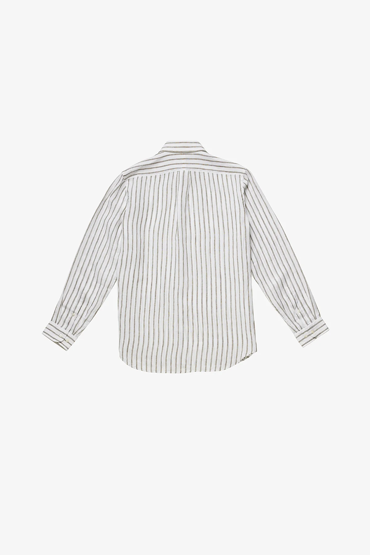 Max - Olive - Image 4